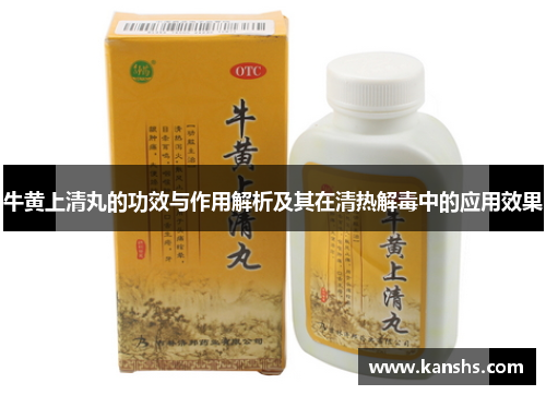 牛黄上清丸的功效与作用解析及其在清热解毒中的应用效果